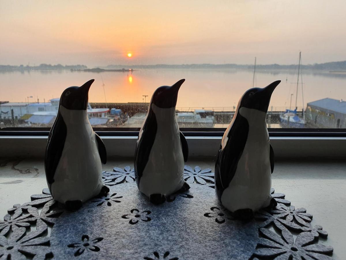 Ferienwohnung Schleiloge Mit Panoramablick Auf Die Schlei Шлесвиг Екстериор снимка